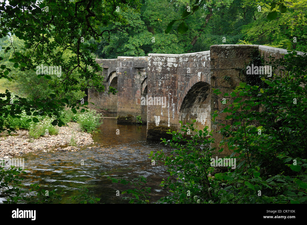 Resprin Bridge, pont historique du 12e siècle, traversant la rivière Fowey, Cornwall, Lostwithiel, England, United Kingdom Banque D'Images