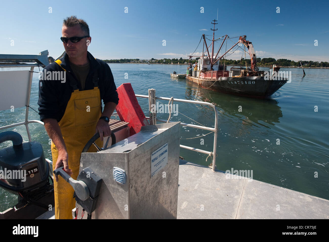 France, Morbihan, Vannes, Golfe du Morbihan, le travail sur les parcs à huîtres par l'équipe de Jegat Oyster Farm Banque D'Images