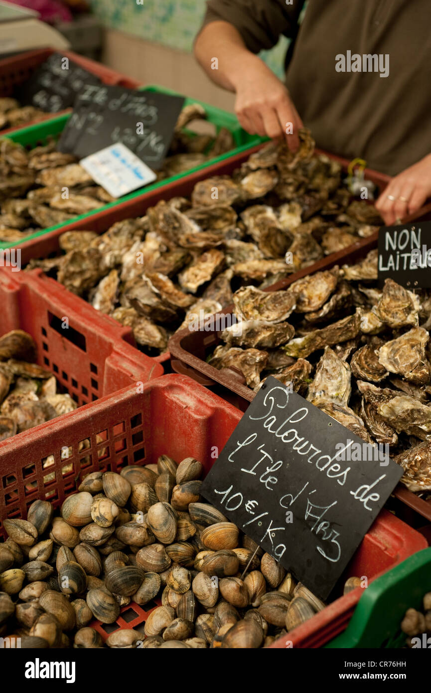 France, Morbihan, Golfe du Morbihan, Vannes, Vannes de marché, le marché aux poissons, les palourdes Banque D'Images