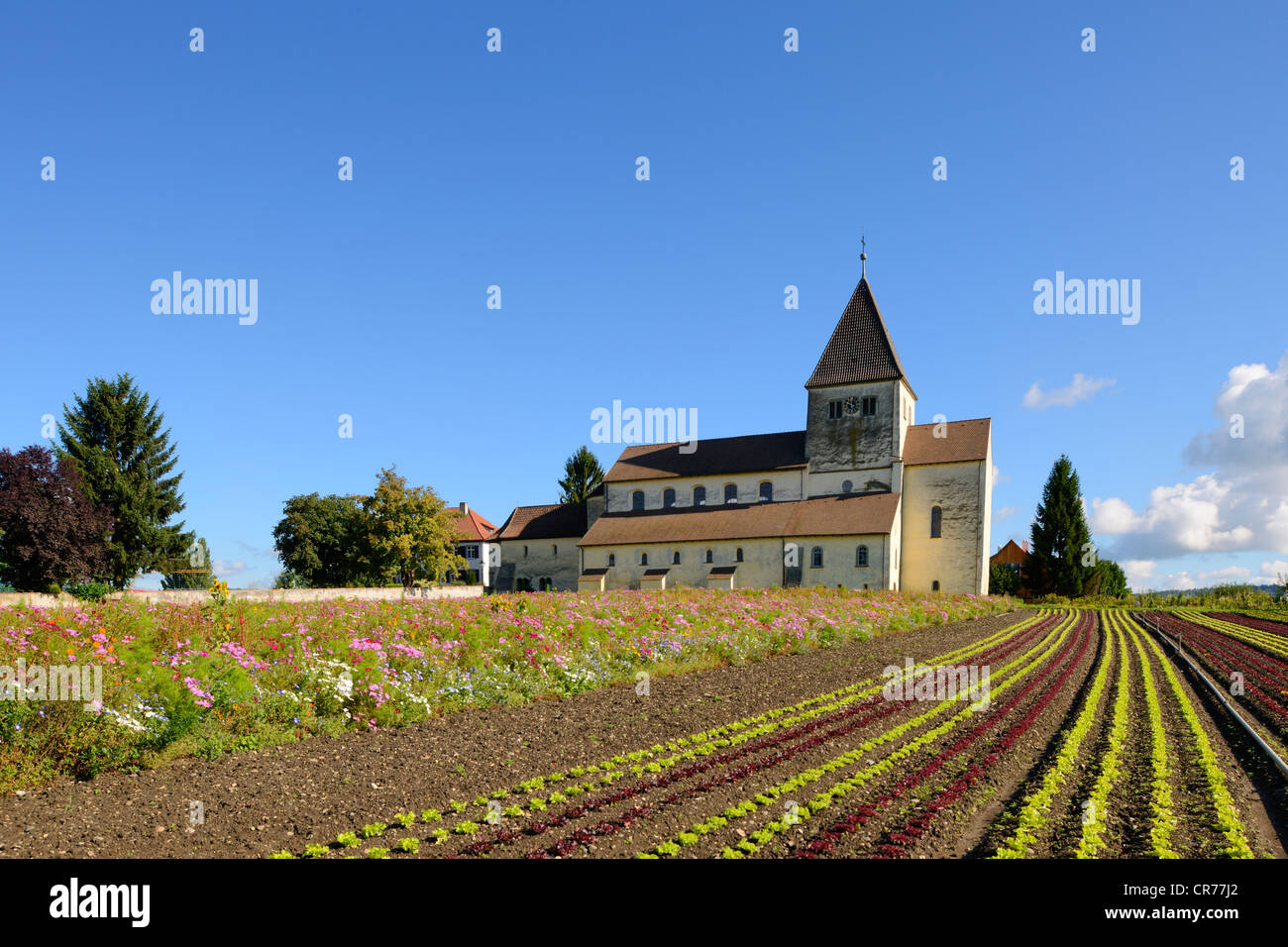 Eglise de Saint Georg sur l'île de Reichenau, célèbre pour ses légumes, le lac de Constance, Oberzell, district de Constance Banque D'Images