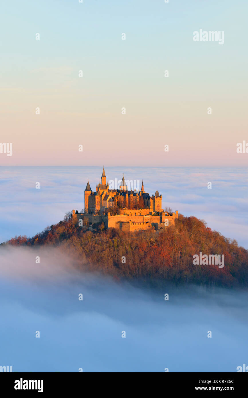 Le château de Burg Hohenzollern, dans la lumière du matin, brouillard, avec forêt d'automne, Alb Schwaebische, Jura souabe, Bade-Wurtemberg Banque D'Images