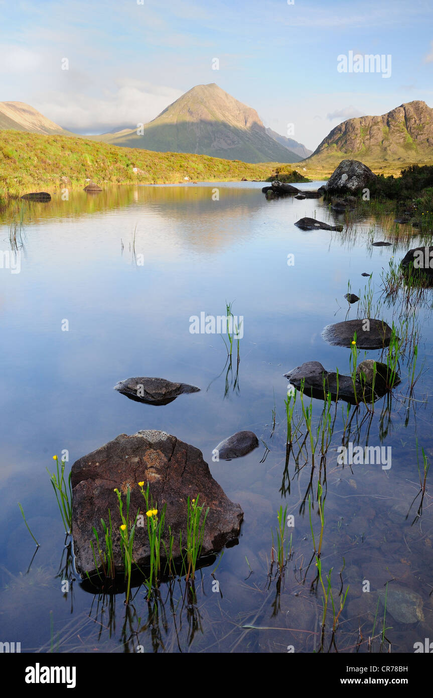 L'été sur l'île de Skye, Marsco reflétée dans un petit lochan à Glen Sligachan Banque D'Images