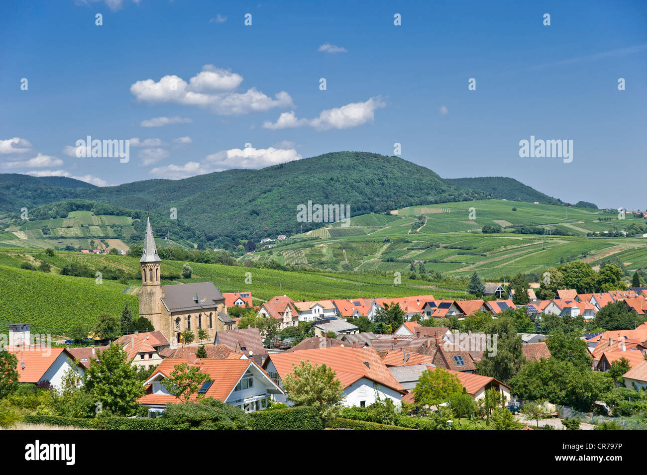 Le paysage urbain de Birkweiler Forêt du Palatinat, région de montagne à l'arrière, district, Suedliche Weinstrasse Birkweiler Banque D'Images