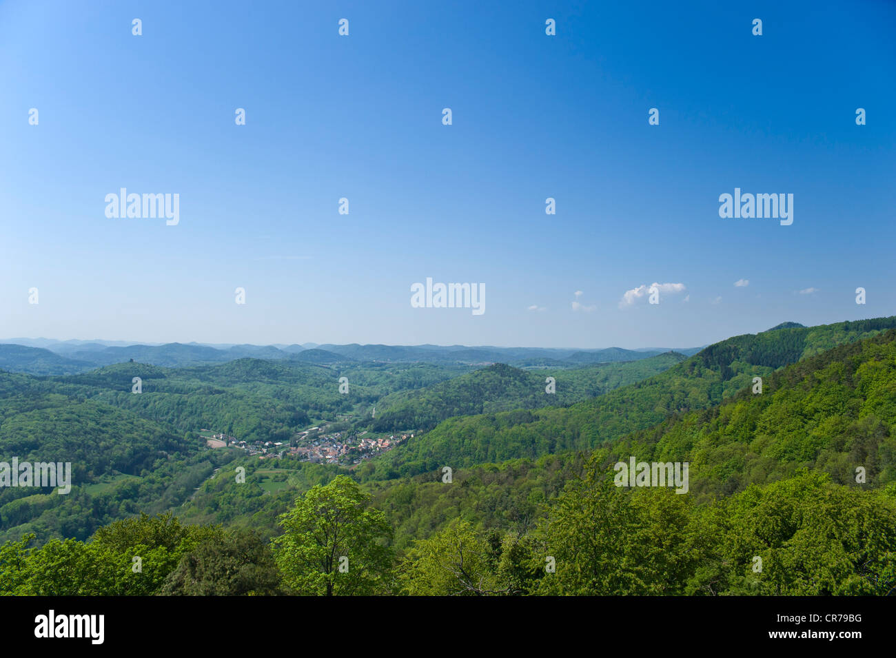 Vue de la Forêt du Palatinat du Madenburg castle ruins, Eschbach, Route des Vins allemande, Suedliche Weinstrasse district Banque D'Images