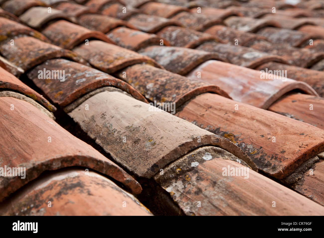 Tuiles de toiture traditionnelle provençale. La texture de fond. Banque D'Images