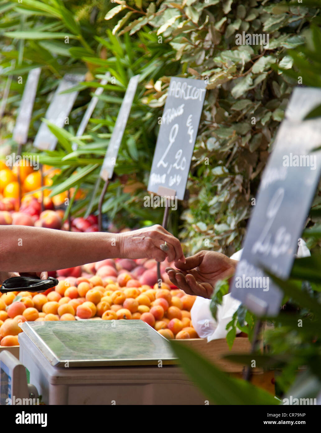 Décrochage du marché traditionnel provençal offrant des fruits frais. Banque D'Images