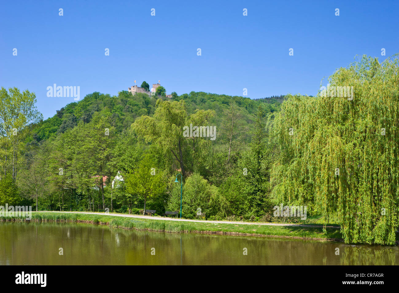 Burg Landeck castle, Klingenmuenster, Deutsche Weinstrasse, Route des Vins allemande, Palatinat, Rhénanie-Palatinat, Allemagne, Europe Banque D'Images