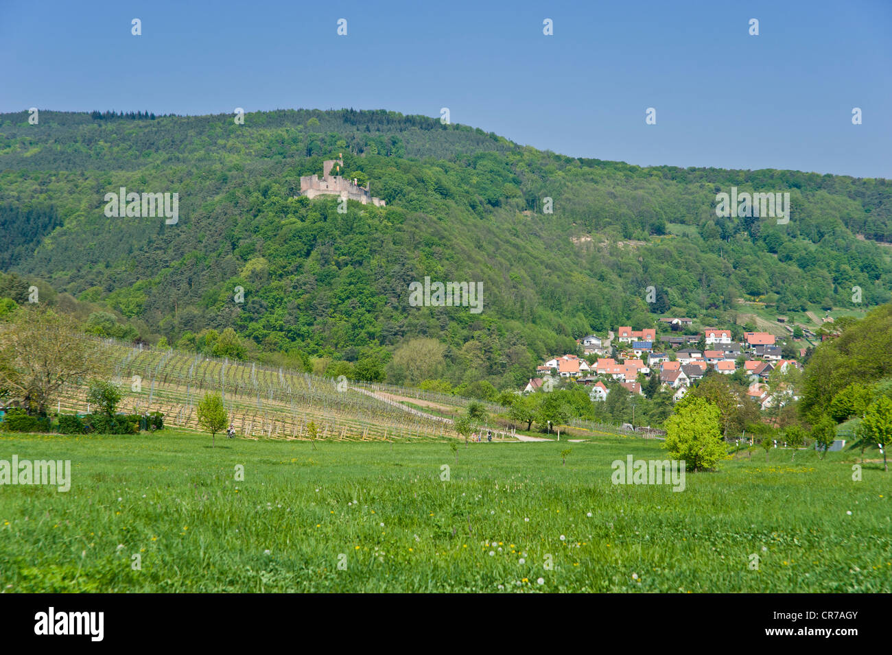Paysage urbain avec Burg Landeck castle, Klingenmuenster, Deutsche Weinstrasse, Route des Vins allemande, Palatinat, Rhénanie-Palatinat Banque D'Images