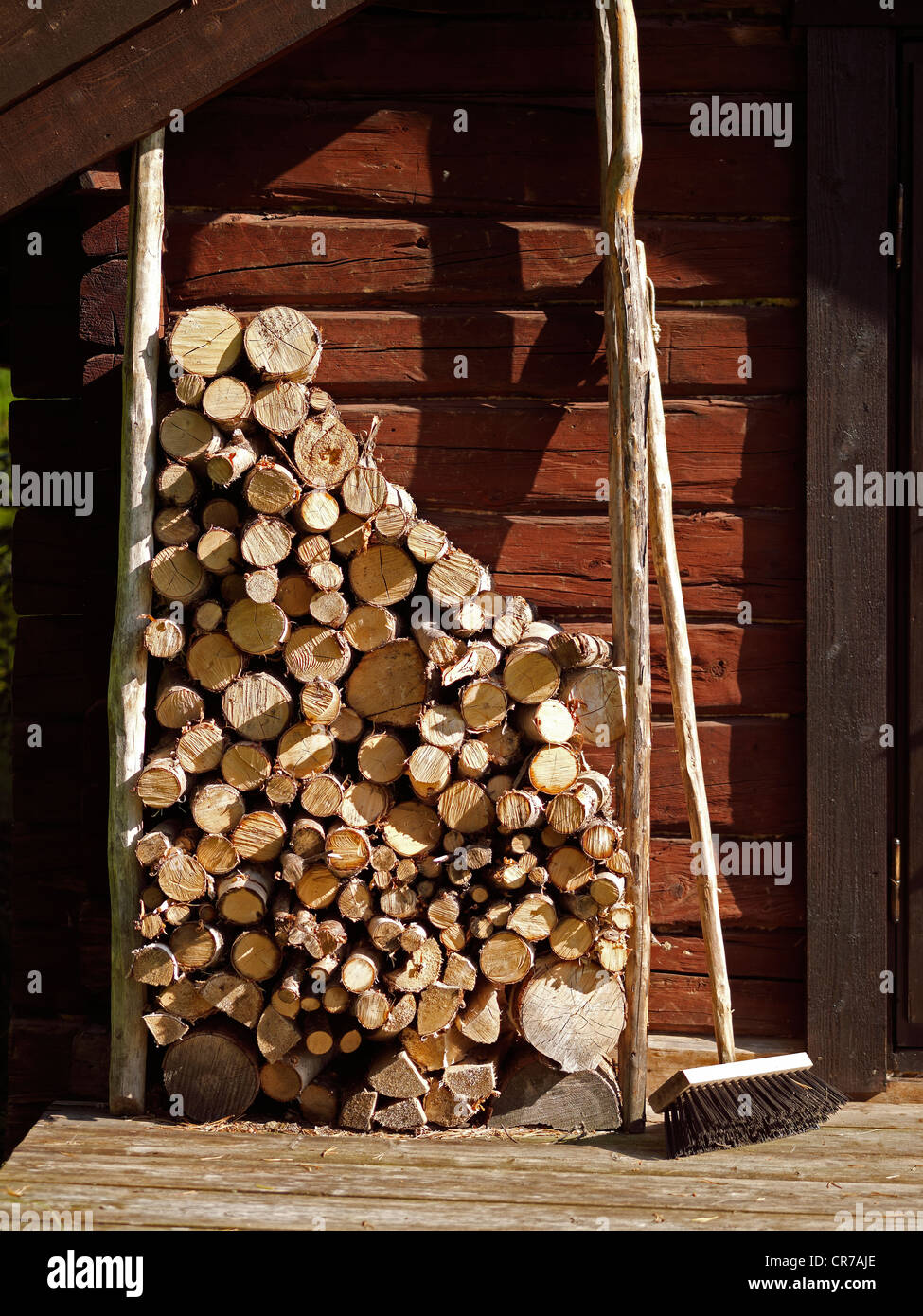 La Norvège, dans le comté de Finnmark, Karasjok, Engholm Husky Banque D'Images