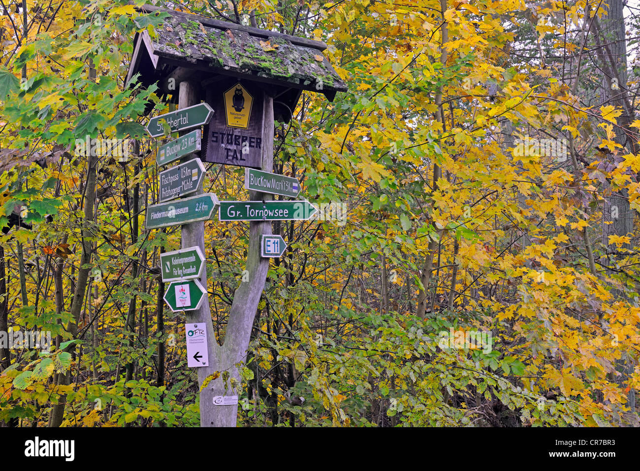 Inscrivez-post sur le sentier de randonnée, Parc Naturel, Schweiz Maerkische Buckow, Brandenburg, Germany, Europe Banque D'Images