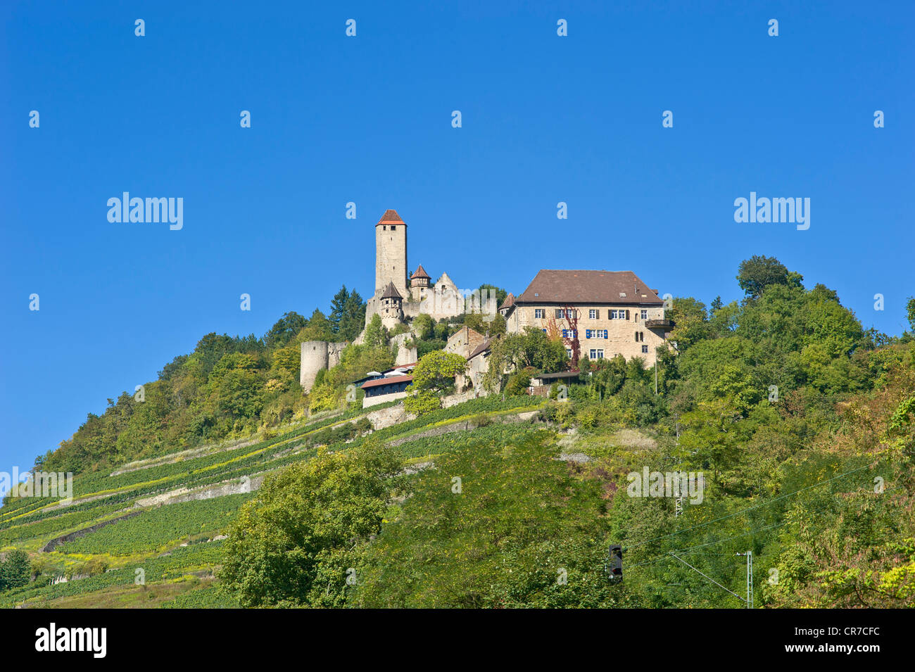 Burg Hornberg Neckarzimmern, château, Neckartal, Bade-Wurtemberg, Allemagne, Europe Banque D'Images