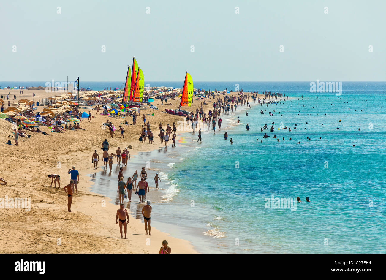 Plage, beach life, Morro Jable, Côte Sud, Fuerteventura, Canary Islands, Spain, Europe Banque D'Images
