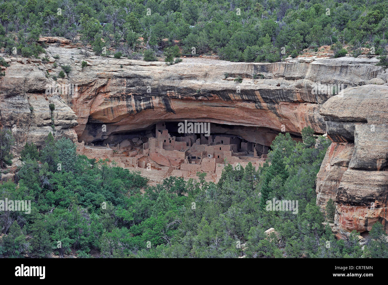 Cliff Palace, Cliff dwellings des Américains autochtones, environ 800 ans, Mesa Verde National Park, site classé au Patrimoine Mondial de l'UNESCO Banque D'Images