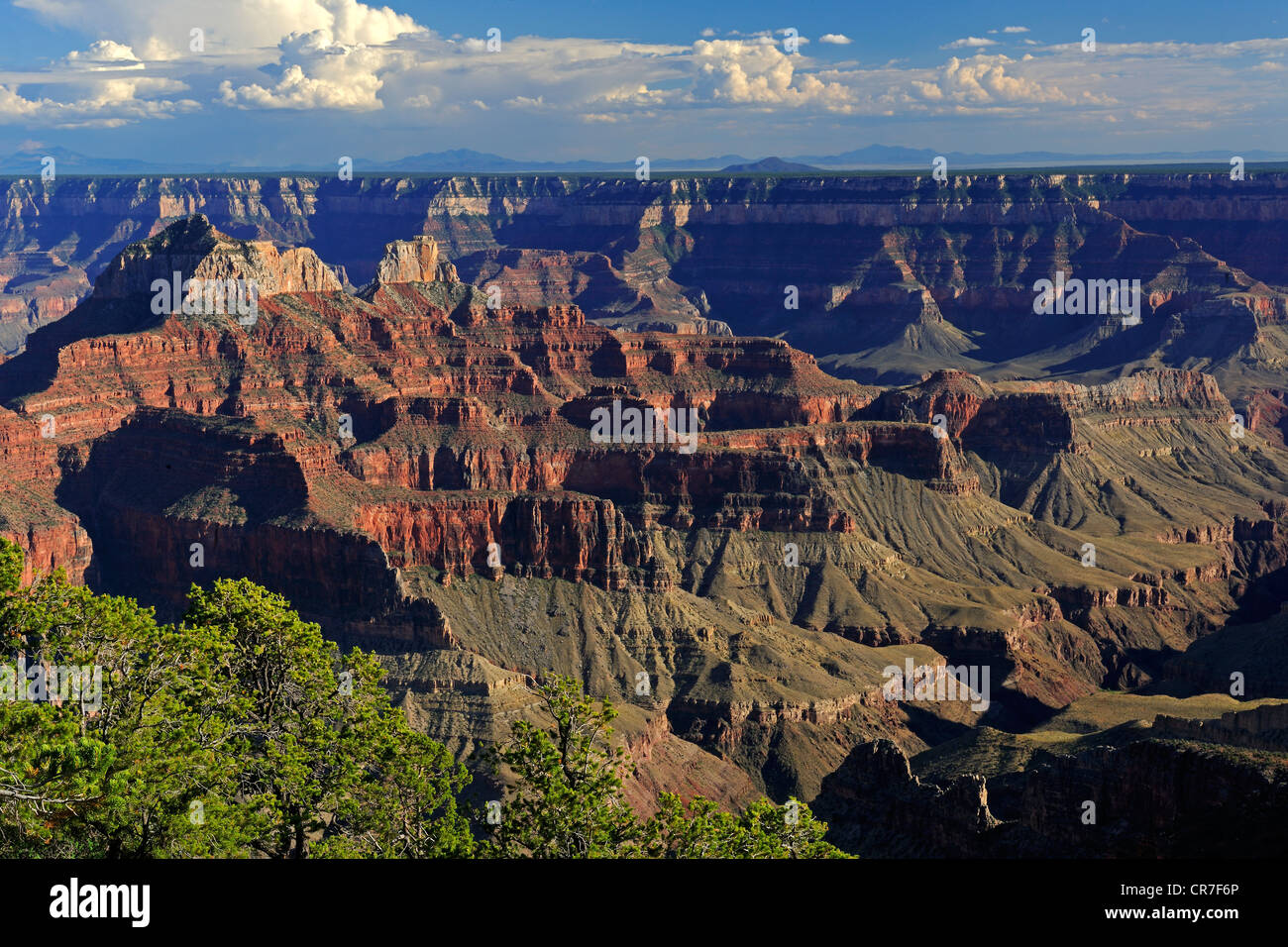 Bright Angel Point Au Coucher Du Soleil Grand Canyon North