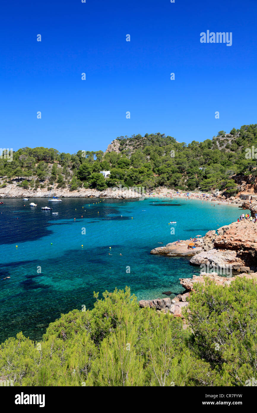 L'Espagne, Îles Baléares, Ibiza, Cala Salada Beach Banque D'Images