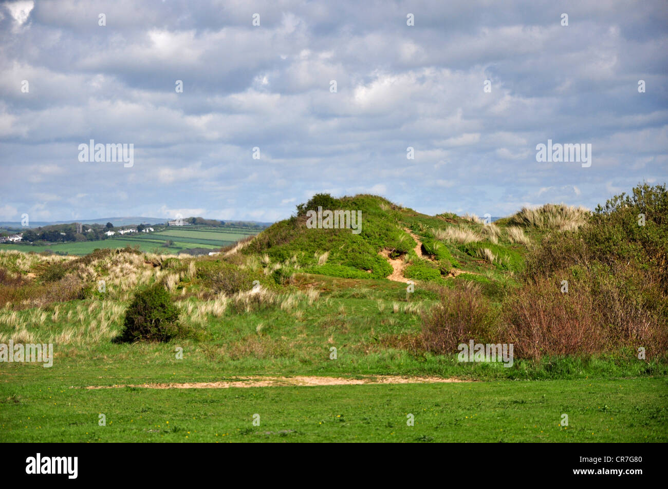 Une vue de Braunton Burrows sand dunes Devon UK Banque D'Images