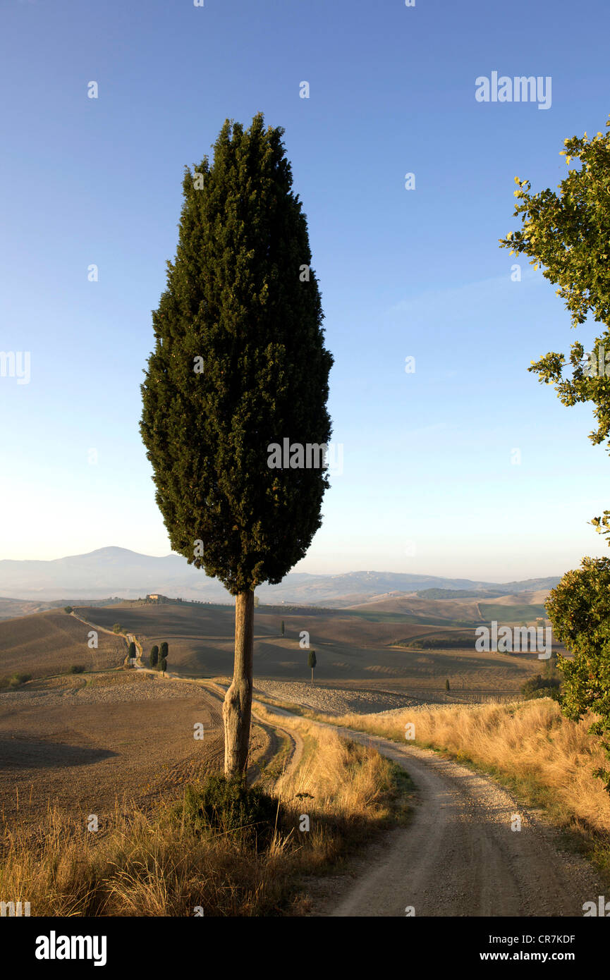 Italie, Toscane, Val d'Orcia, classé au Patrimoine Mondial de l'UNESCO Banque D'Images