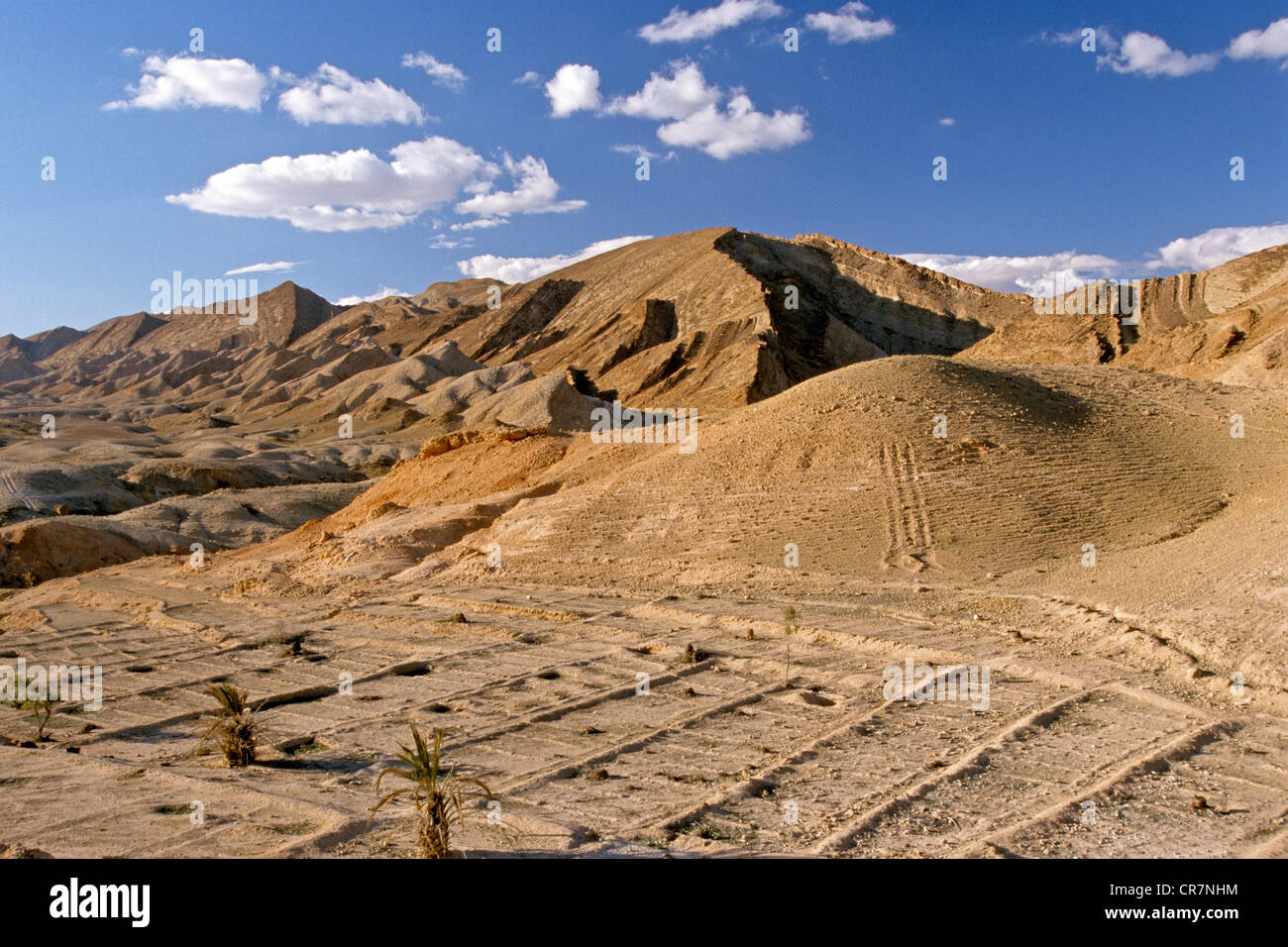 La Tunisie, région du Sud, paysage lunaire près de Tamerza Banque D'Images
