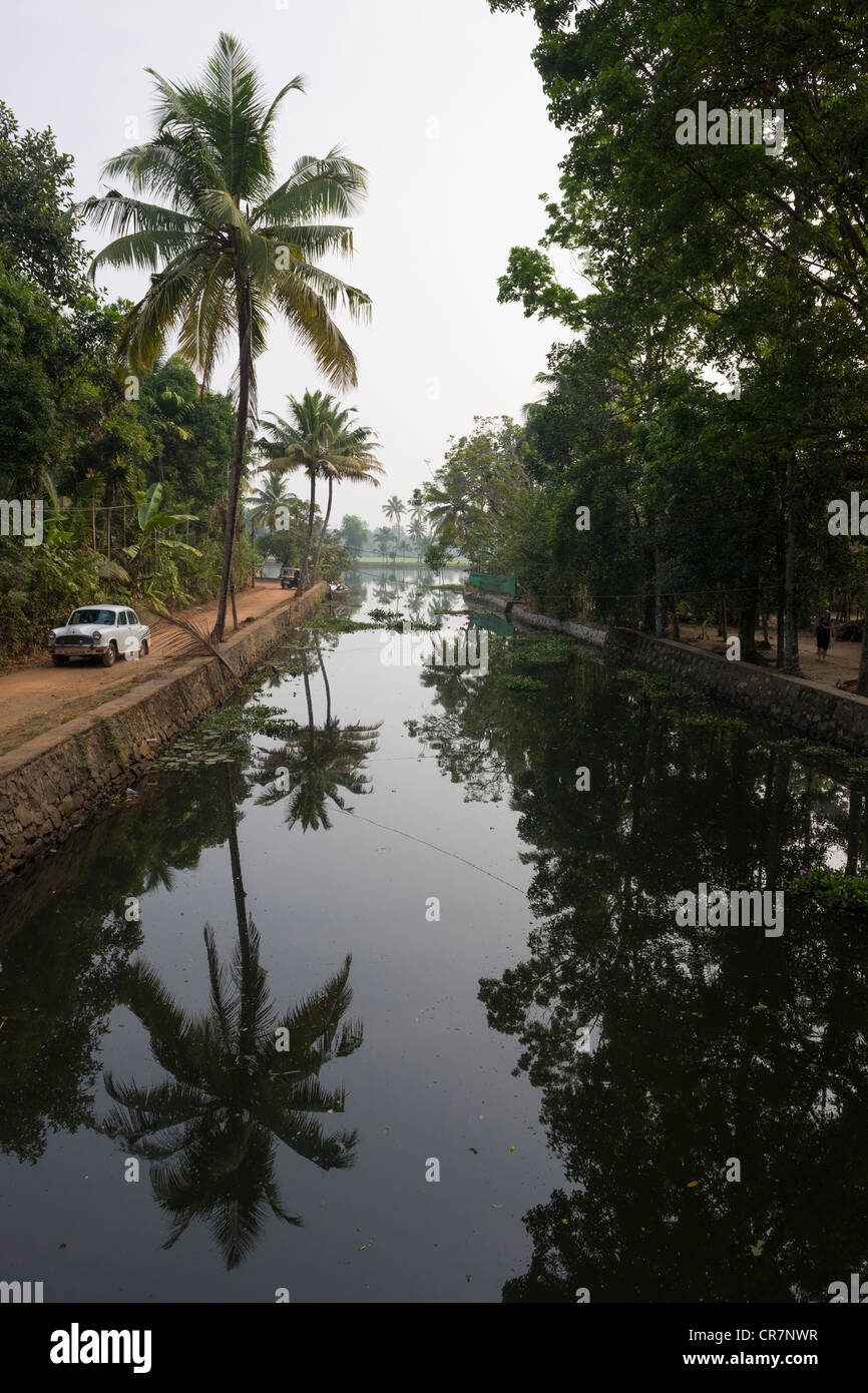 L'ambassadeur voiture conduire par une voie navigable, avec palmiers, Kanjippadom, près de Alappuzha (Alleppey), Kerala, Inde Banque D'Images