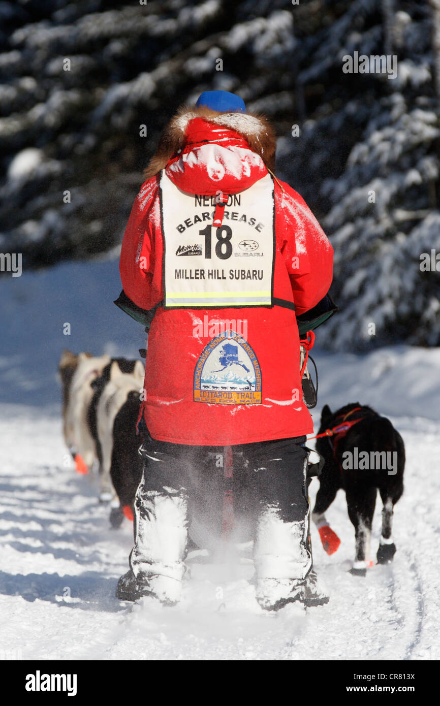 DULUTH, MINNESOTA - JANVIER 30 : Musher Jamie Nelson sur la piste pendant la première journée du marathon John Beargrease Sled Dog Marathon le 30 janvier 2011 à Duluth, Minnesota. Usage éditorial exclusif. (Photographie de Jonathan Paul Larsen / Diadem images) Banque D'Images