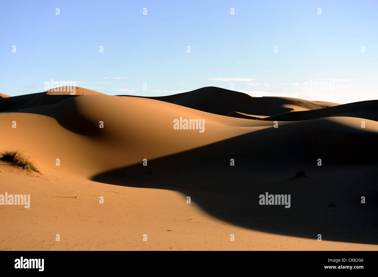 Dunes de sable, désert de sable, le Sahara, l'Erg Chebbi, dans le sud du Maroc, Maroc, Maghreb, Afrique du Nord, Afrique Banque D'Images