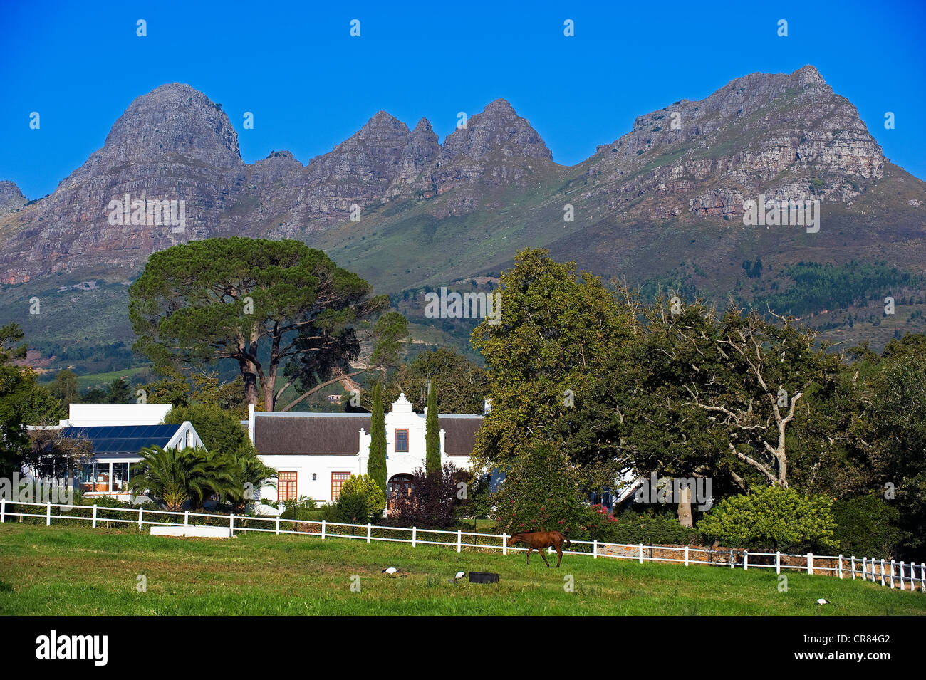 L'Afrique du Sud, Western Cape, Stellenbosch, Cielito wine estate au pied de la montagne, l'architecture néerlandaise Hedelberg Banque D'Images