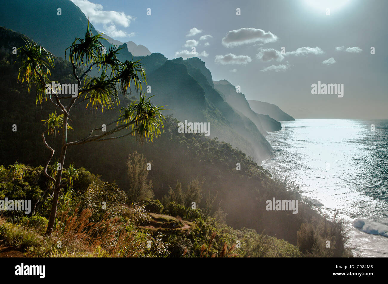 Kalalau Trail, côte de Na Pali, Kauai, Hawaii Banque D'Images