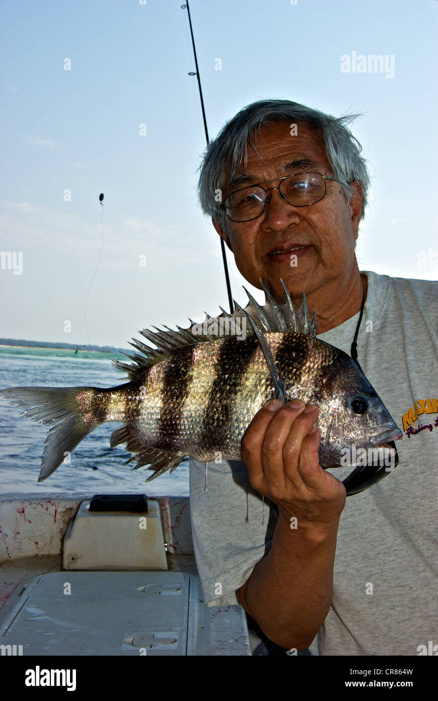 Pêcheur asiatique holding inshore saltwater sheepshead game fish Perdido passe sous le pont de l'Alabama Banque D'Images