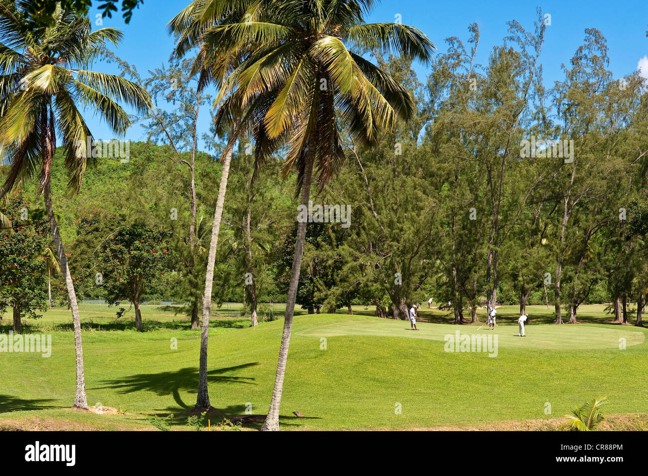 La France, Martinique, Trois Ilets, Les Trois Ilets golf Banque D'Images