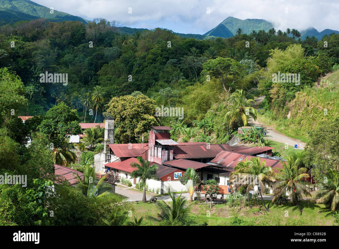 La France, à la Martinique (Antilles françaises), le prêcheur, Fond Preville, Crassous de Medeuil immobilier JM, distillerie de rhum AOC Martinique, Banque D'Images