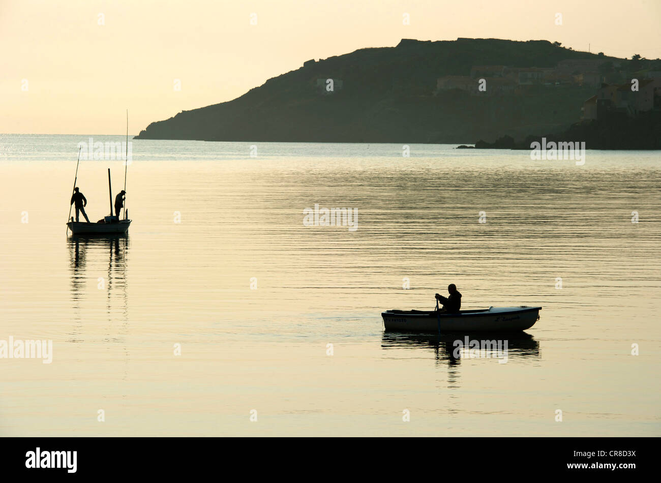 France, Pyrénées Orientales, Collioure, la pêche tôt le matin Banque D'Images