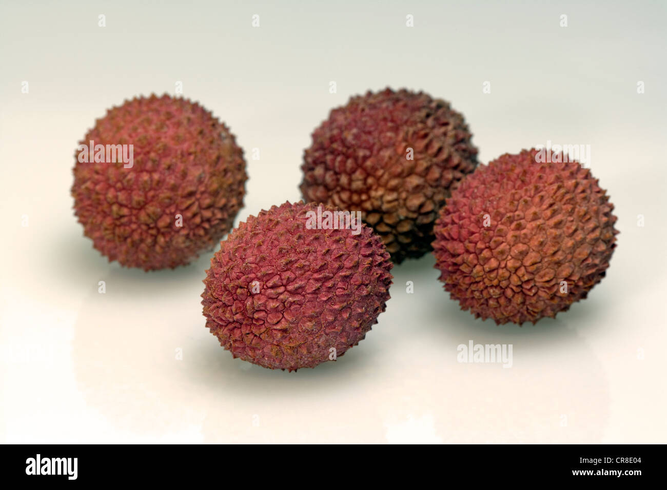 Litchies ou lychees (Litchi chinensis) Banque D'Images