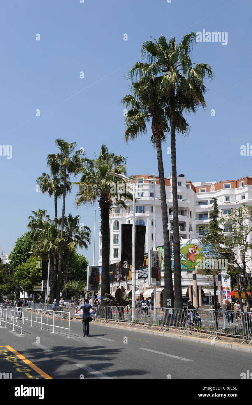 La Croisette à Cannes, Côte d'Azur, France, Europe Banque D'Images