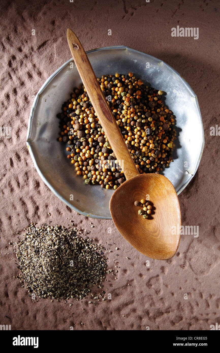 Poivre en grains colorés (Piper nigrum) sur une plaque de métal avec une cuillère en bois et grossièrement moulu sur une base en pierre rustique Banque D'Images