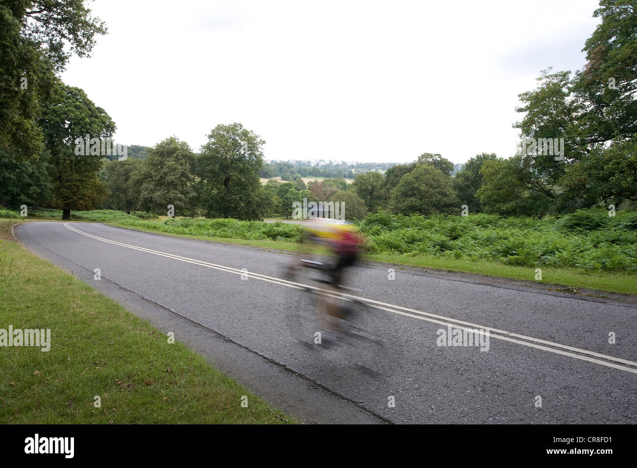 L'homme à vélo sur route dans la région de Richmond Park, London, UK Banque D'Images
