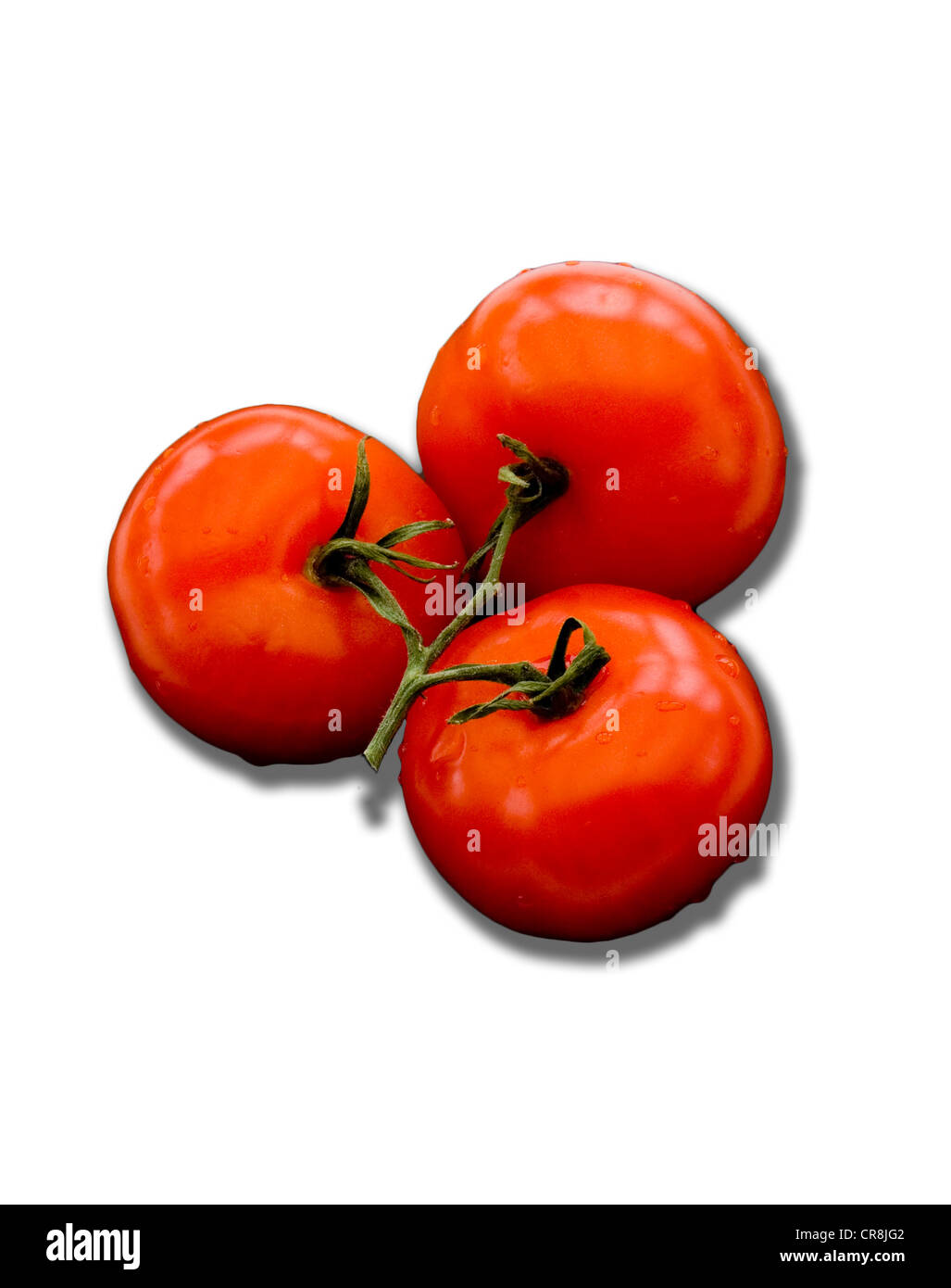 Une découpe de trois tomates en grappes, fruit de la plante Solanum lycopersicum. Banque D'Images