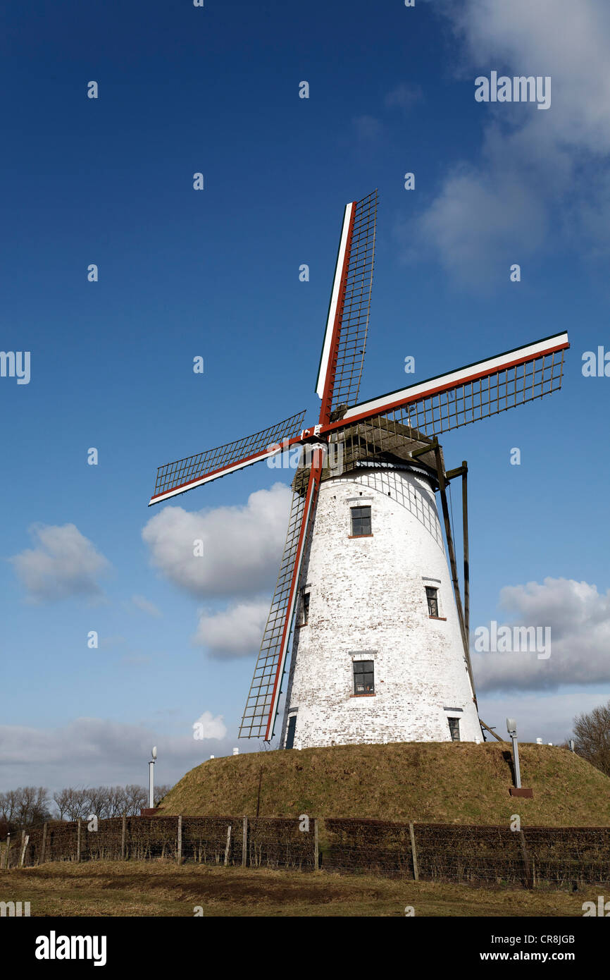 Moulin à vent, à partir de 1867, Schellemolen Damme, Flandre occidentale, Belgique, Europe Banque D'Images