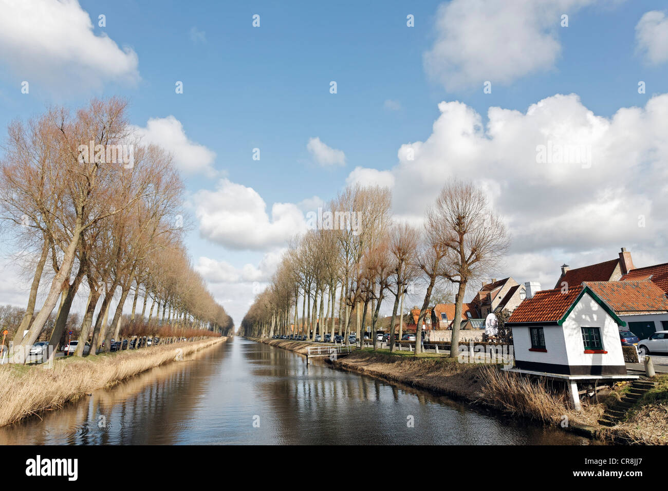 Canal de Bruges à Damme, au printemps, Flandre occidentale, Belgique, Europe Banque D'Images