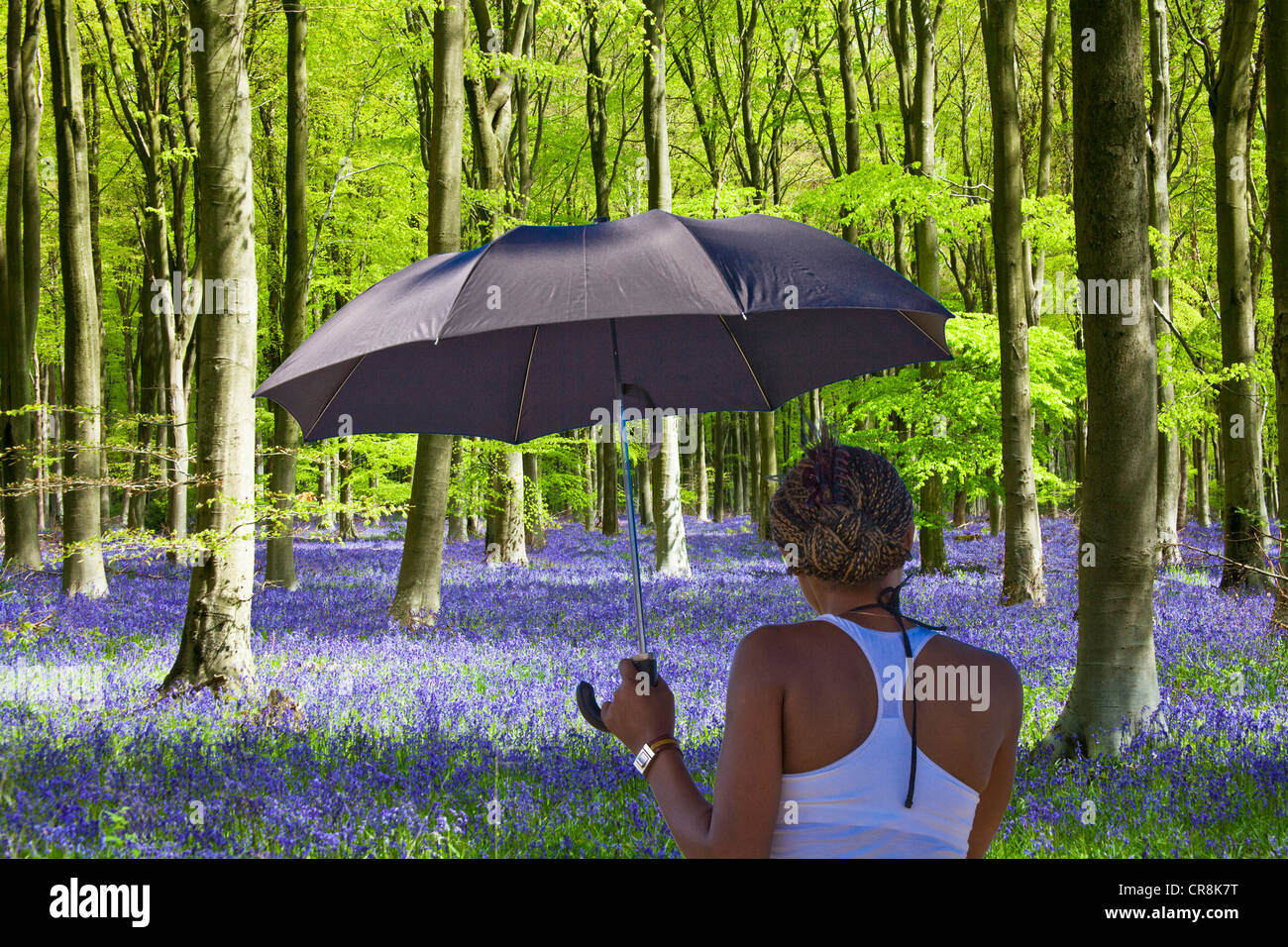 Jeune femme noire tenant un parapluie qu'un parasol regarde bluebells floraison dans un anglais de hêtre au printemps. Banque D'Images
