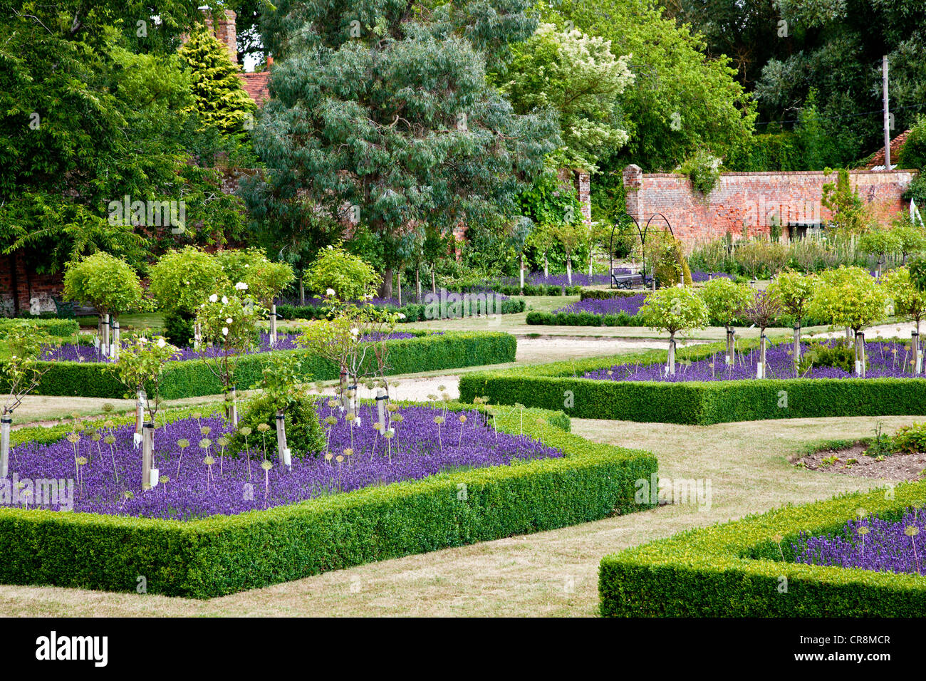 Ancien potager maintenant une lavande formelle jardin dans le jardin anglais de Littlecote Manor dans le Berkshire, Angleterre, RU Banque D'Images