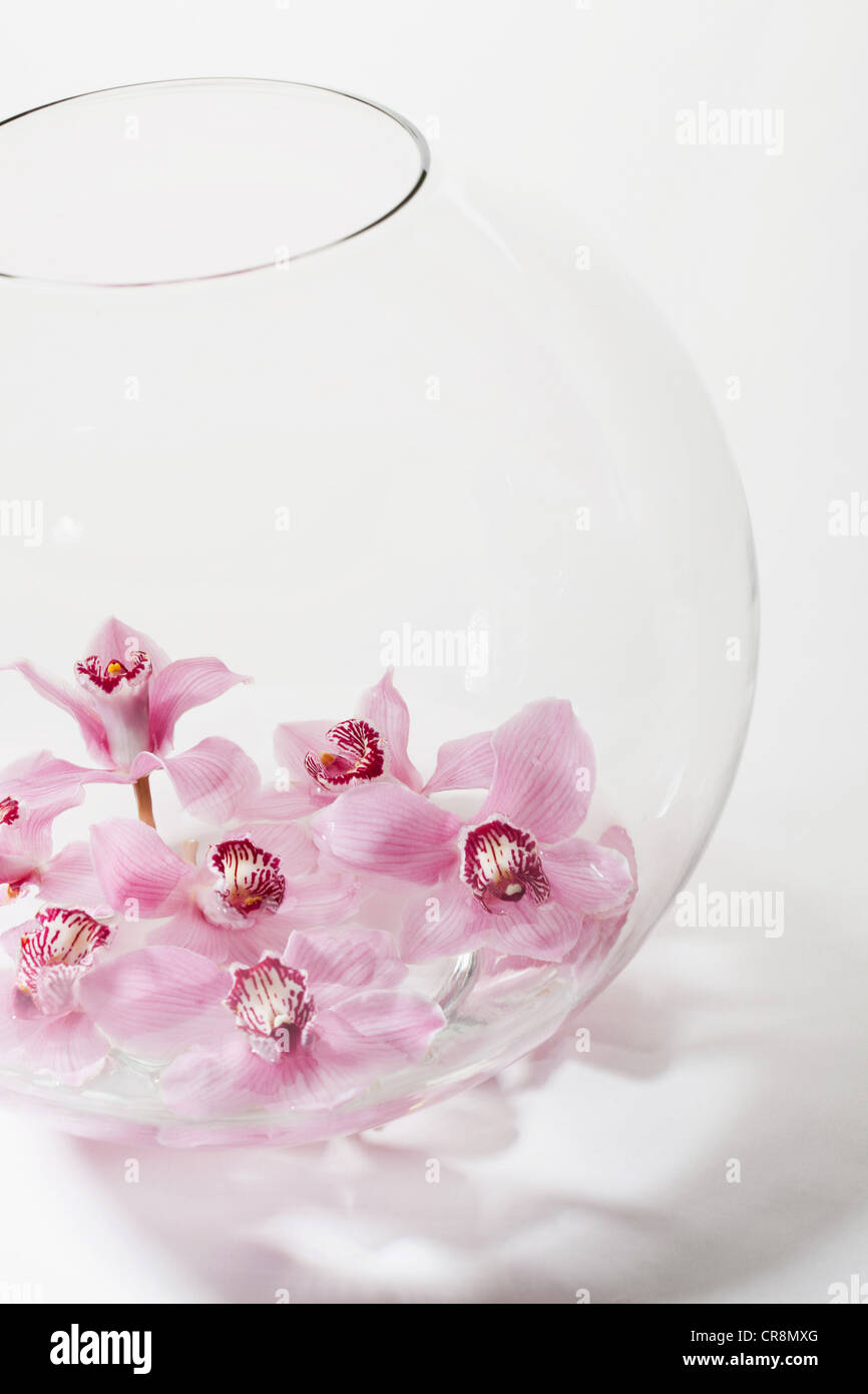 Fleurs roses en bol en verre Banque D'Images