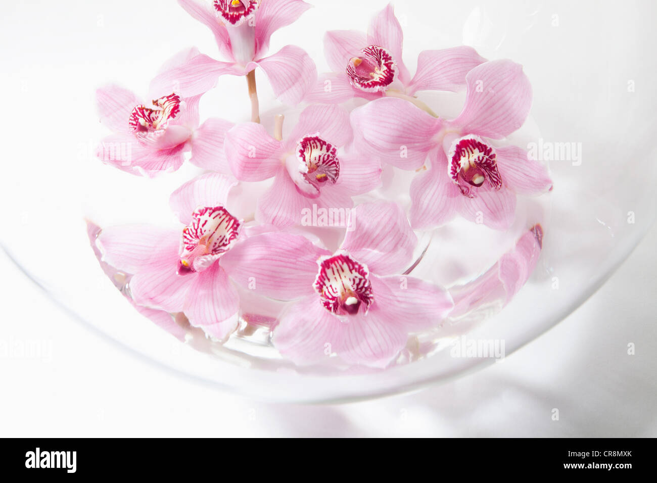 Fleurs roses en bol en verre Banque D'Images