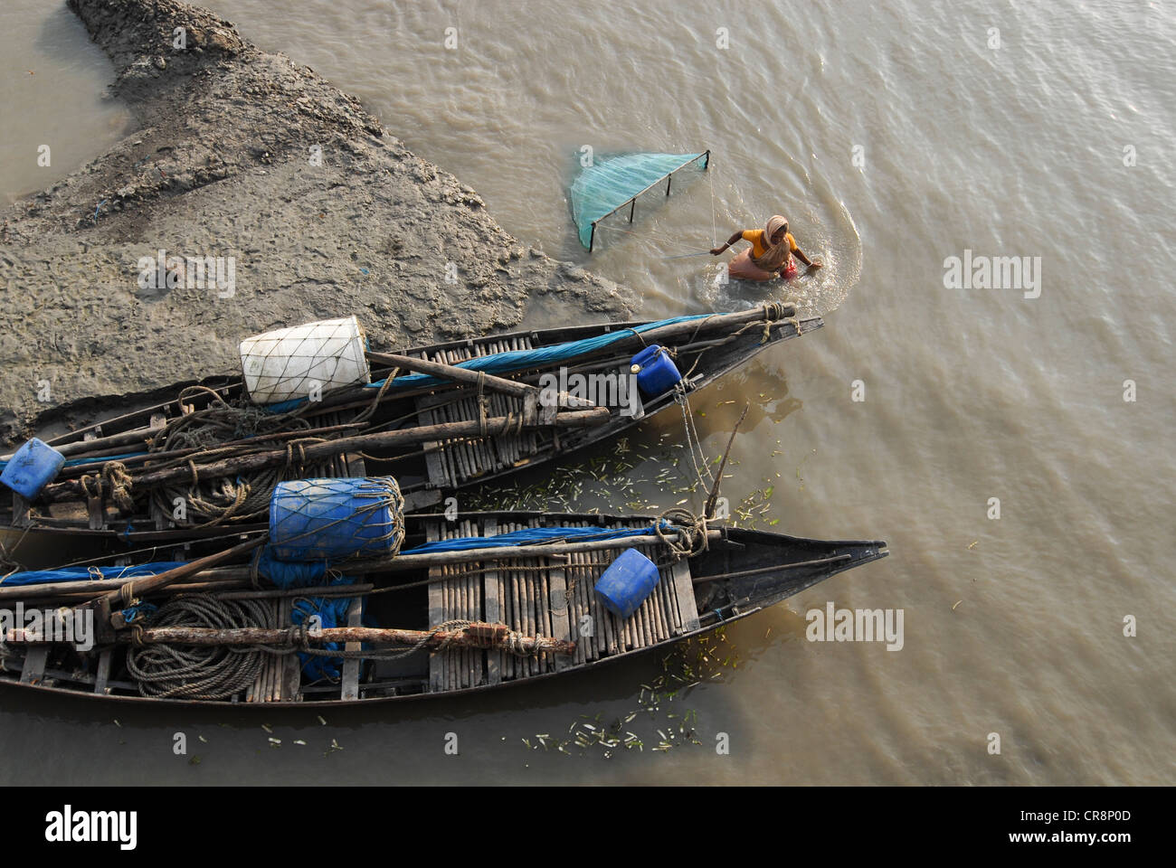 BANGLADESH , village de Kalabogi au bord de la rivière Shibsha près du golfe du Bengale, les peuples sont les plus touchés par le changement climatique, la femme recueille les larves de crevettes avec le filet de pêche, les larves de crevettes sont utilisées pour la reproduction de crevettes en aquaculture Banque D'Images