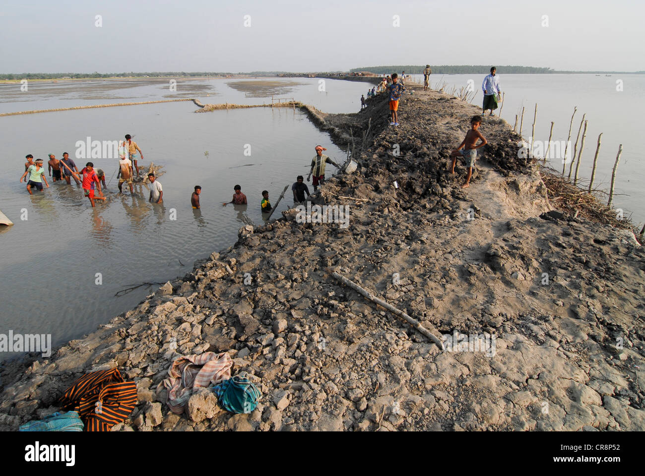 Le Bangladesh , Kalabogi Shibsha au village de la rivière à proximité du golfe du Bengale, les peuples sont plus touchés par le changement climatique, les villageois travaillent sur la construction d'une digue de boue Banque D'Images