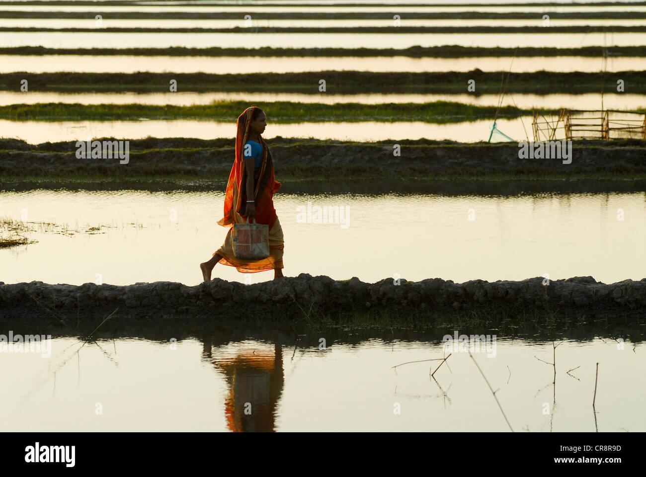 L'Asie du Sud Bangladesh , femme marche à travers ferme crevettière près de Khulna Banque D'Images