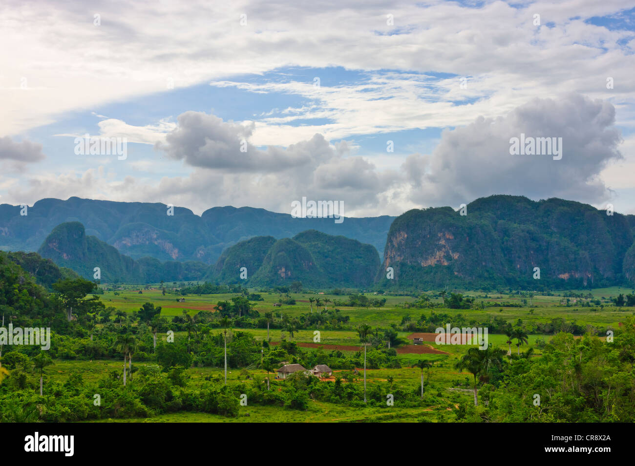 Colline calcaire, terres agricoles et maison de village en vallée de Vinales, site du patrimoine mondial de l'UNESCO, Cuba Banque D'Images