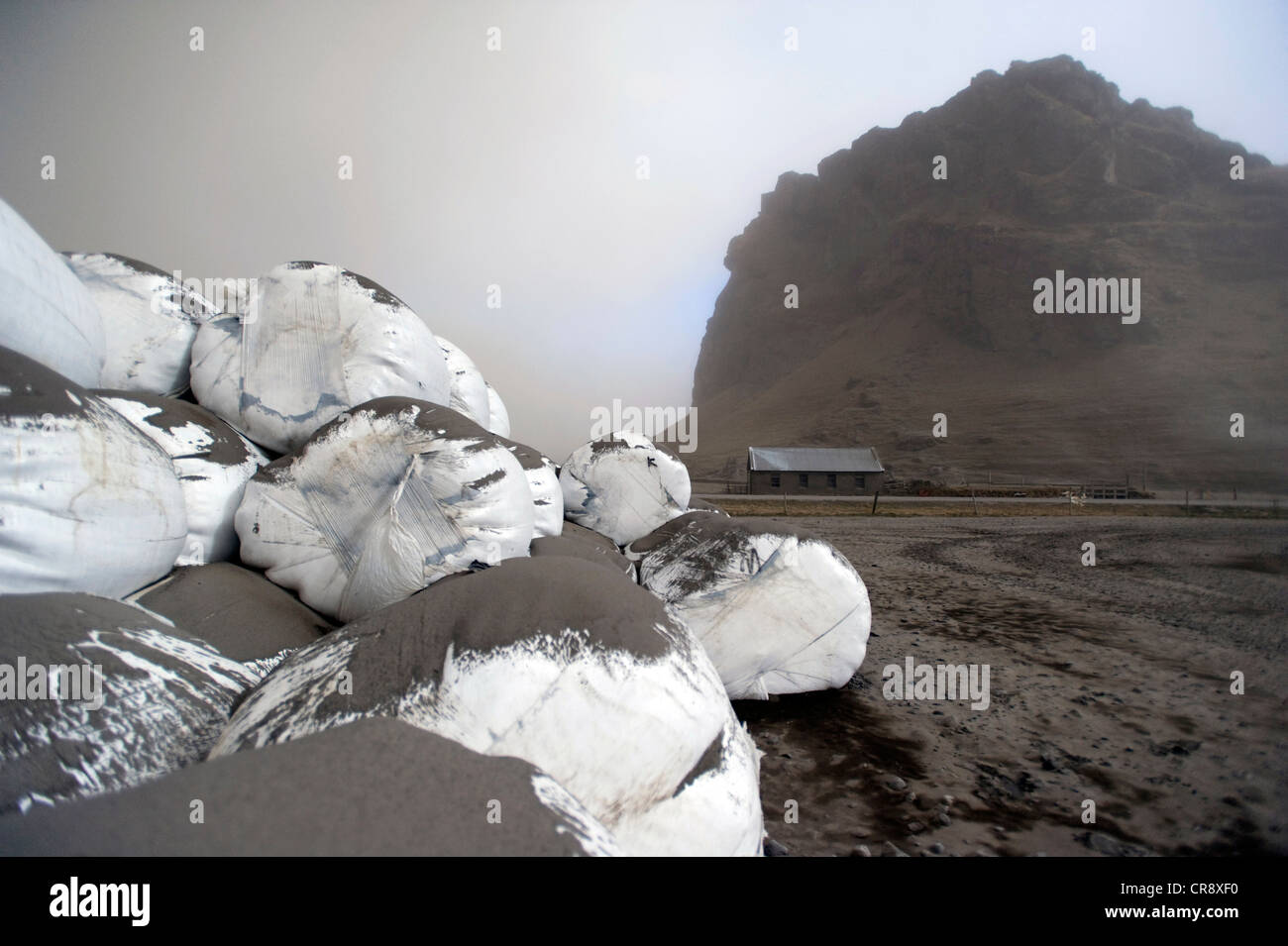 Cendres de volcan Eyjafjallajoekull sur les balles rondes sur une ferme, Eyjafjoell, Islande, Europe Banque D'Images