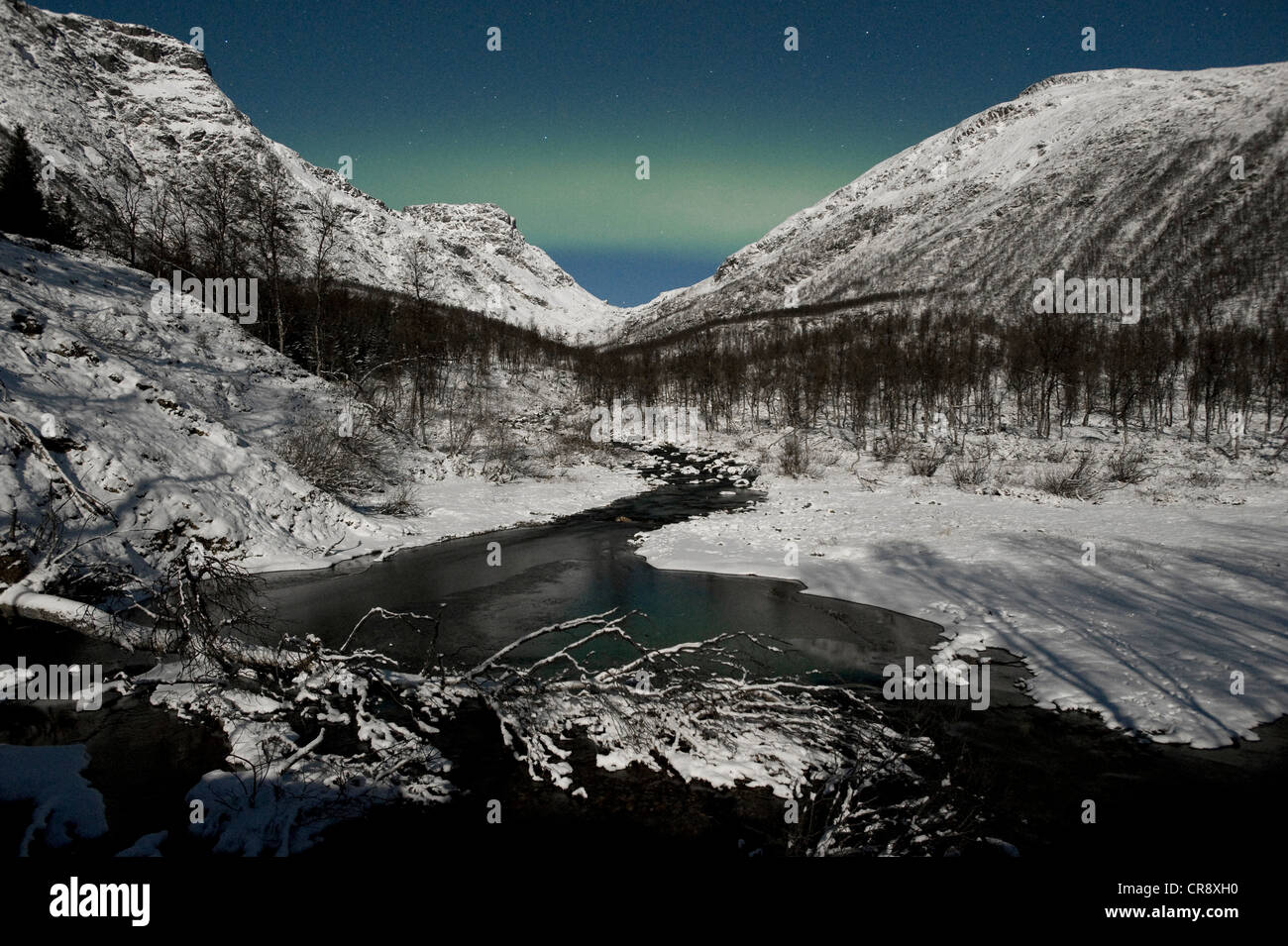Polar Lights (aurores boréales), sur une vallée dans le nord de la Norvège, Finnmark, Norvège, Europe Banque D'Images