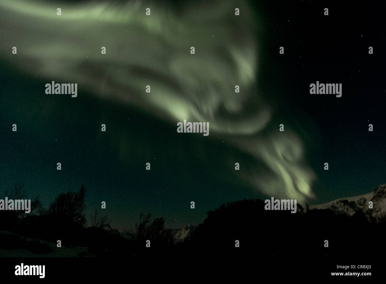 Northern Lights (aurores boréales), Finnmark, Norvège, Europe Banque D'Images