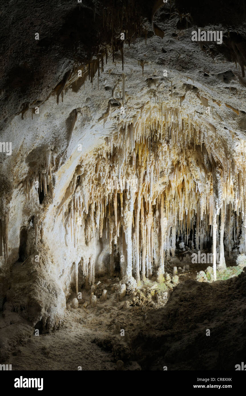 Théâtre de poupées, de stalagmites et stalactites, grande salle, Carlsbad Caverns National Park, New Mexico, USA Banque D'Images